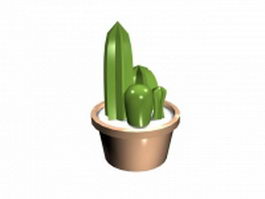 Potted indoor cactus 3d model preview
