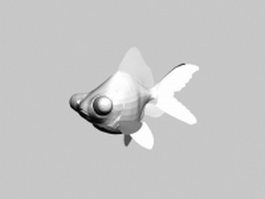 Fantail goldfish 3d model preview