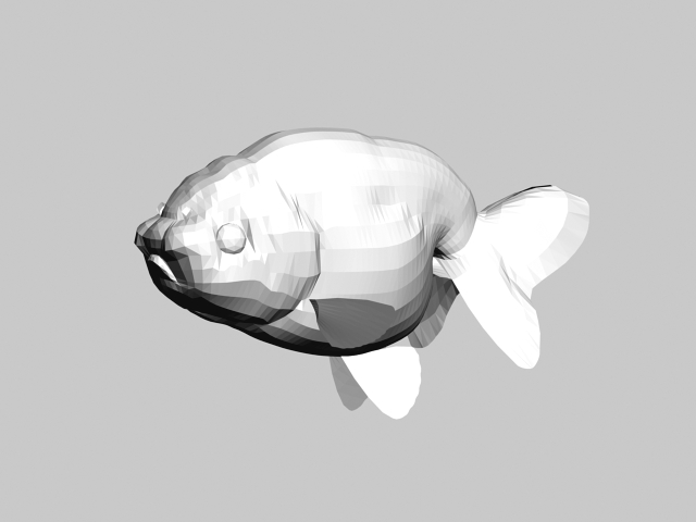 Lionhead-ranchu fancy goldfish 3d rendering