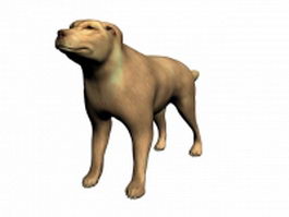 Domestic dog 3d model preview
