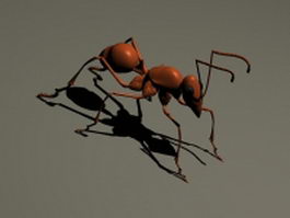 Fire ant 3d model preview