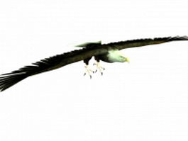 Flying hawk 3d model preview