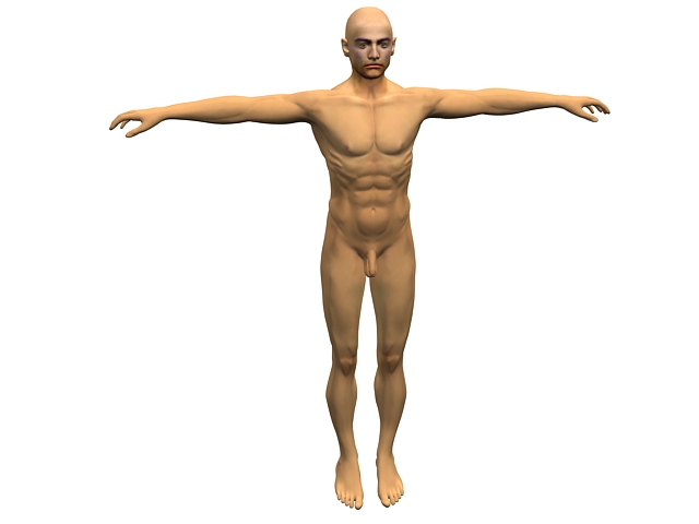 Adult man body 3d rendering