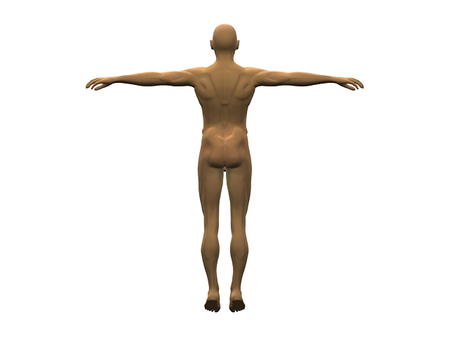 Adult man body 3d rendering