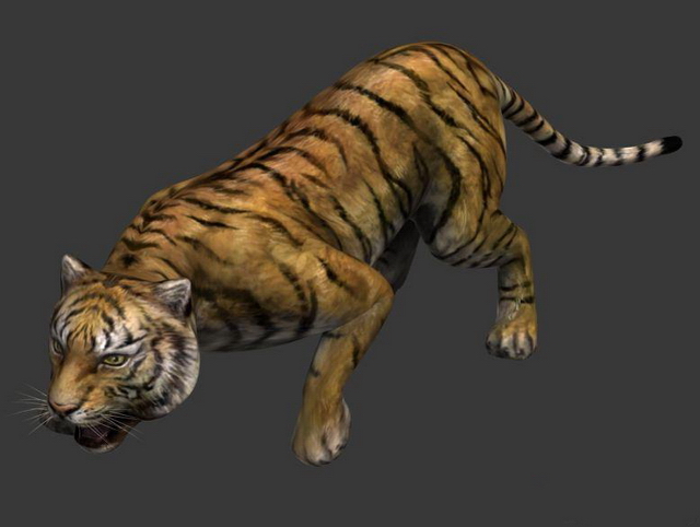 Bengal Tiger 3d model 3ds Max files free download - modeling 44070