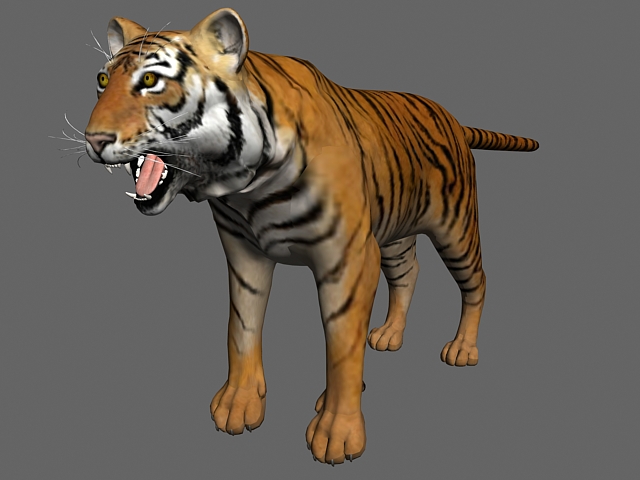 Bengal tiger 3d rendering