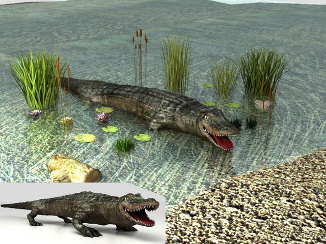Crocodile in water 3d rendering