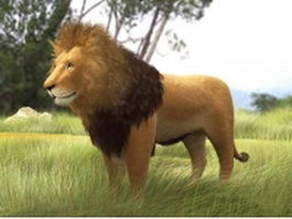 African lion 3d model preview