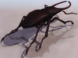 Stag beetle 3d preview
