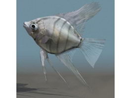Silver angelfish 3d model preview