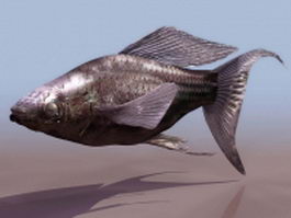 Green swordtail fish 3d model preview