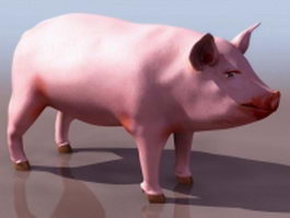 Domestic pig 3d model preview