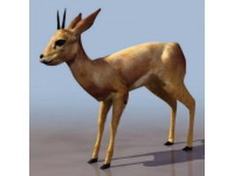Blackbuck antelope 3d preview