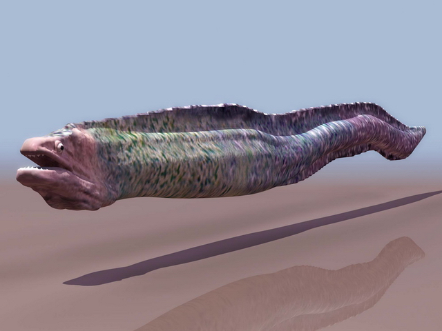 Moray eel 3d rendering