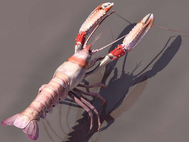 Spiny lobster 3d rendering