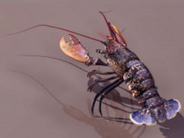 European lobster 3d model preview