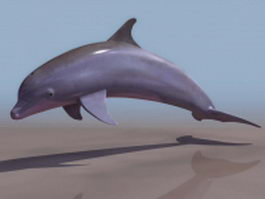 Bottlenose dolphin 3d model preview
