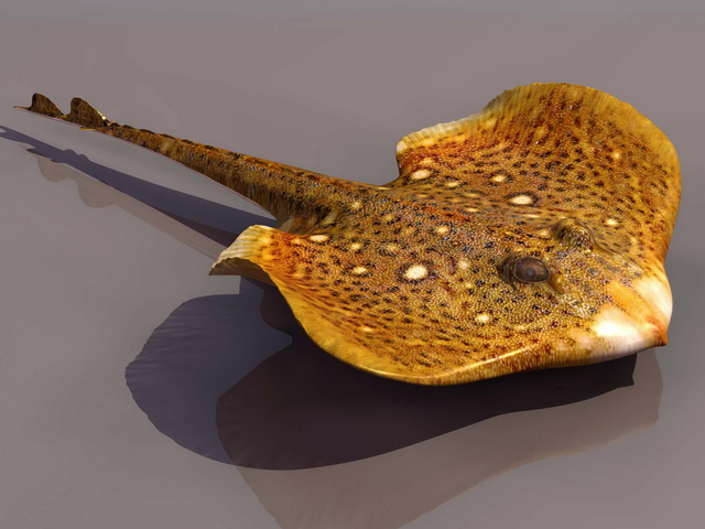 Giant devil fish ray 3d rendering