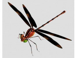 Red dragonfly 3d model preview