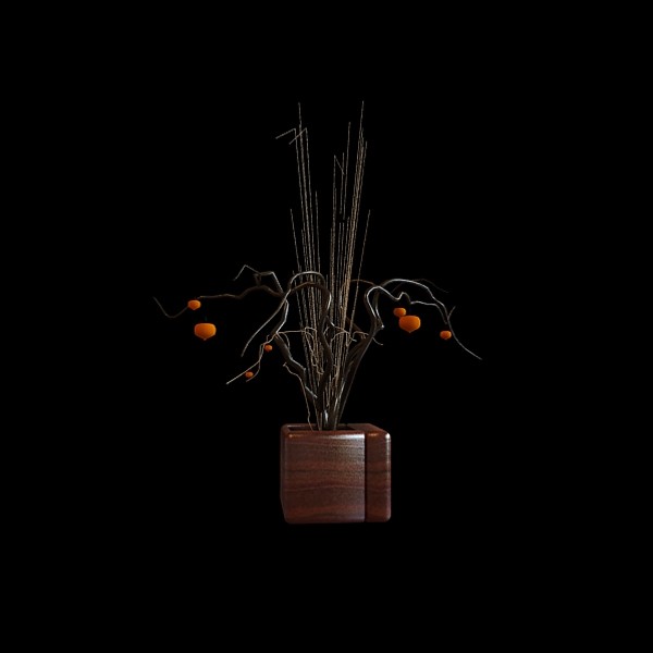 Square wood vase with sticks 3d rendering