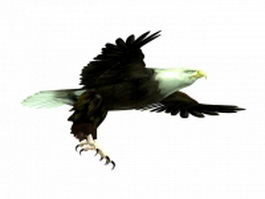 Flying eagle 3d model preview