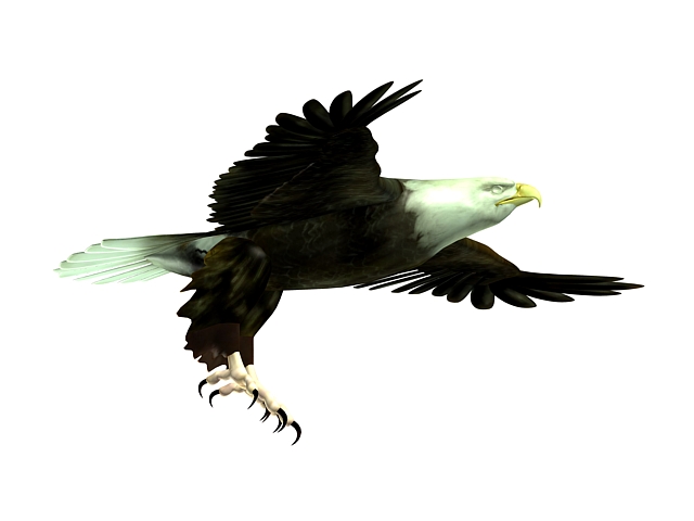 Flying eagle 3d model - CadNav