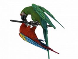 Two macaws 3d preview