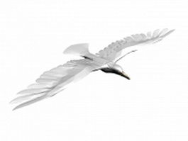 Gull flying 3d model preview