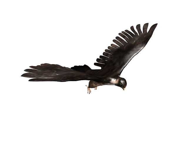 Brown falcon 3d rendering