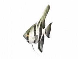Freshwater angelfish 3d model preview