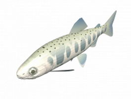 Yamame trout fish 3d model preview