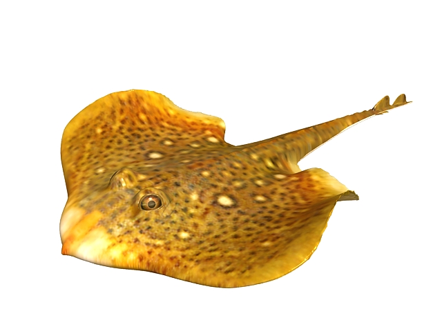Eagle ray fish 3d rendering