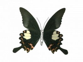 Black butterfly 3d model preview