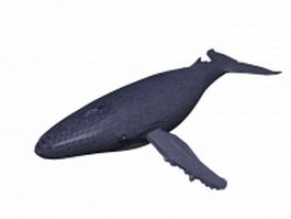 Humpback whale 3d model preview
