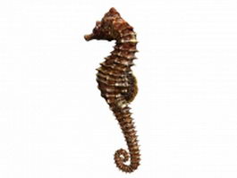 Thorny seahorse 3d preview