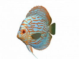 Red turquoise discus fish 3d model preview