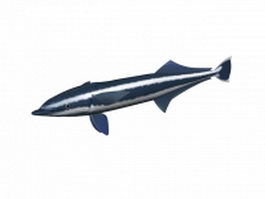 Blue shark 3d model preview