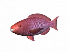 Red snapper fish 3d model preview