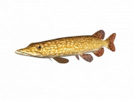 Northern pike 3d model preview