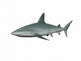 Mako shark 3d model preview