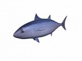 Southern bluefin tuna 3d model preview