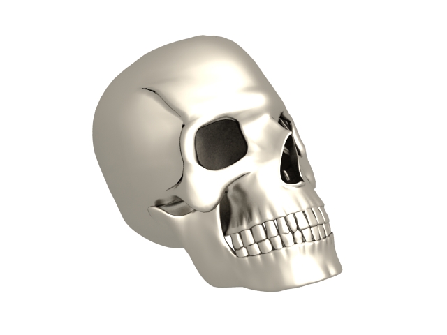 A human skull 3d rendering