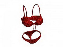 Women underwire bra and panty 3d preview
