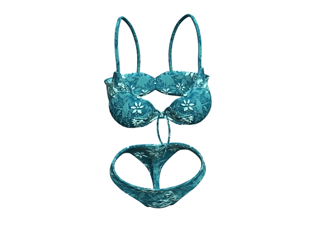Blue floral bra and panties set 3d rendering