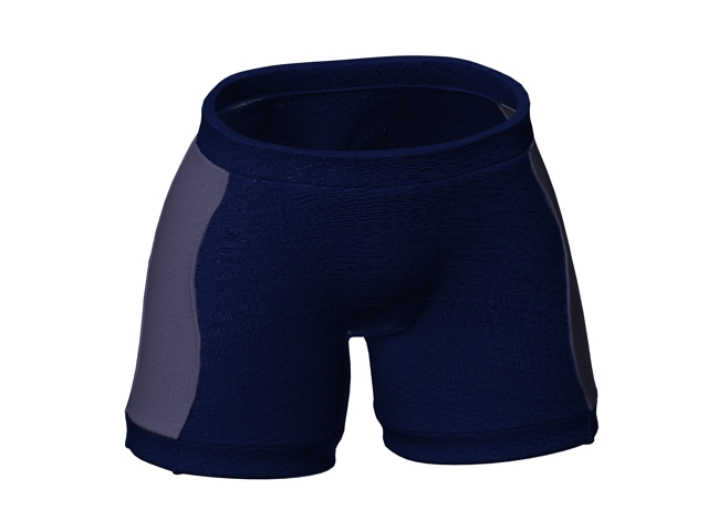Sports boxer shorts 3d rendering