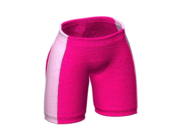 Swimming shorts for girls 3d rendering