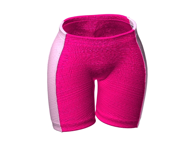 Swimming shorts for girls 3d rendering