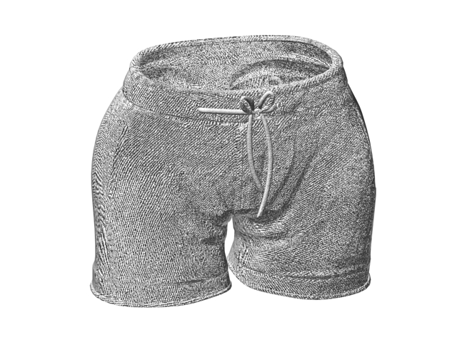 Men's board shorts 3d rendering