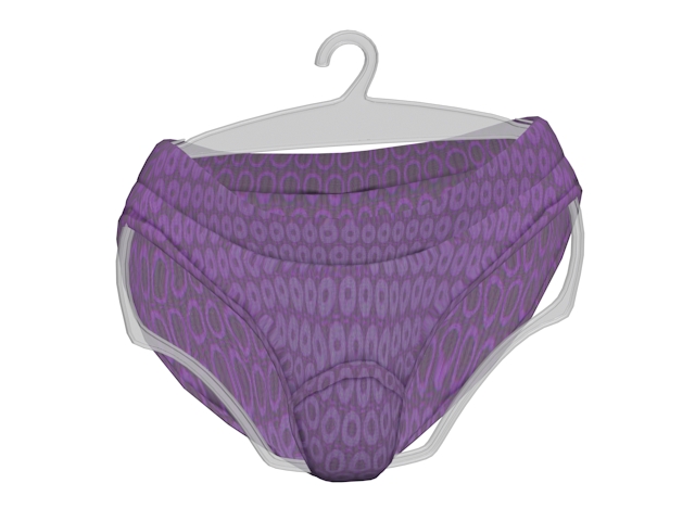 Hipsters underwear for women 3d rendering