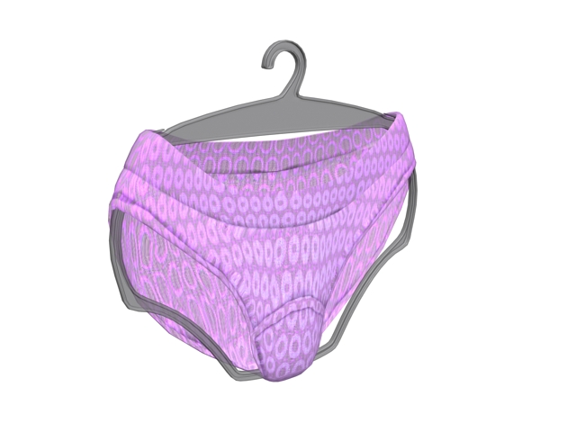 Women underwear printed panties 3d rendering